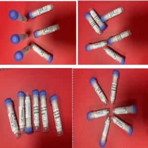 马尔文配件控/制板 型号:GG988- RDW3040库号：M68657 